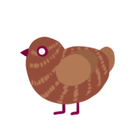 mr sora kh, a russet and brown chicken with a bar pattern