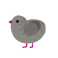 (unnamed), a ash and grey chicken with a half-bar pattern