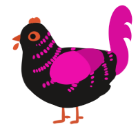 fuchsia to black, a sable and fuchsia chicken with a half-bar pattern