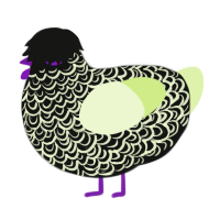 (unnamed), a black and apple chicken with a double-lace pattern