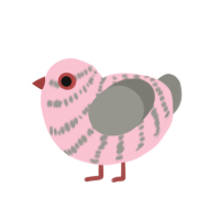 (unnamed), a rose and ash chicken with a bar pattern