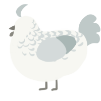 Lethe, a white and silver chicken with a half-lace pattern