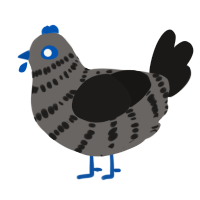 (unnamed), a grey and sable chicken with a bar pattern