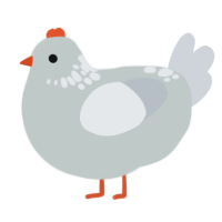 Birdy, a silver and mist chicken with a neck-speckle pattern