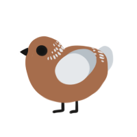 Cocoa, a brown and mist chicken with a neck-band pattern