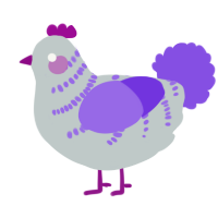 White Pearl, a ash and blurple chicken with a half-bar pattern