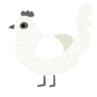 A white chicken with a lace pattern