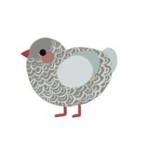 (unnamed), a ash and silver chicken with a double-lace pattern