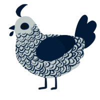 Extravagance, a silver and tumblr chicken with a double-lace pattern