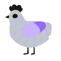 lyla, a silver and lilac chicken with a bar pattern