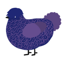 possible, a navy and overcast chicken with a double-lace pattern