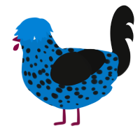 Covid, a sapphire and black chicken with a speckle pattern