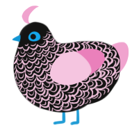 Wannabe, a black and pink chicken with a double-lace pattern