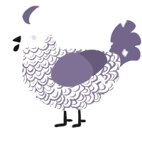 Illumina, a white and overcast chicken with a double-lace pattern