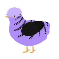 (unnamed), a lilac and black chicken with a half-bar pattern