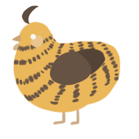 Bee, a honey and bark chicken with a bar pattern