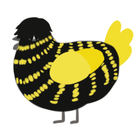 Nevermore, a black and yellow chicken with a bar pattern