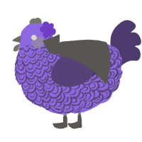 Olive Specter, a lilac and overcast chicken with a double-lace pattern