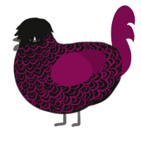 Shiraz, a black and wine chicken with a double-lace pattern