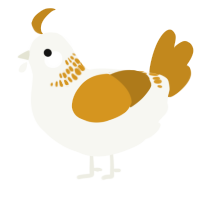 A white and ochre chicken with a neck-band pattern