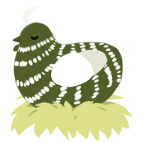 A olive and white chicken with a bar pattern