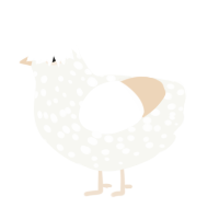 John Doe, a white and cream chicken with a speckle pattern