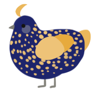 (unnamed), a navy and honey chicken with a speckle pattern