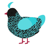 Cycil, a sable and aqua chicken with a double-lace pattern