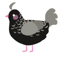 (unnamed), a sable and ash chicken with a half-lace pattern