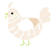 (unnamed), a cream chicken with a bar pattern