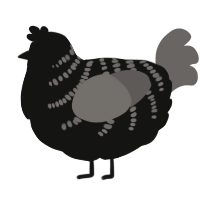 (unnamed), a black and grey chicken with a half-bar pattern