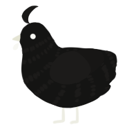 sputnik sweetheart, a black and sable chicken with a bar pattern