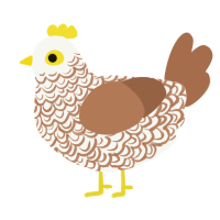 Aubade, a white and brown chicken with a double-lace pattern