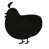 Abyssal, a black chicken