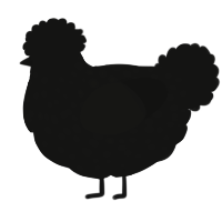 (unnamed), a black chicken with a speckle pattern