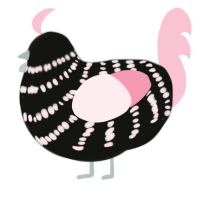 (unnamed), a black and rose chicken with a bar pattern