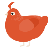 Lady luck WHY, a vermilion chicken with a neck-speckle pattern