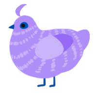 Boo, a lilac chicken with a bar pattern