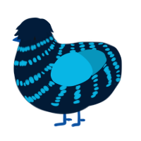 (unnamed), a tumblr and cerulean chicken with a bar pattern