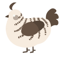 (unnamed), a cream and bark chicken with a half-bar pattern