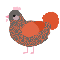 Mrs Cluckels, a grey and vermilion chicken with a double-lace pattern