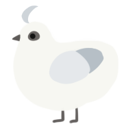 A white and mist chicken