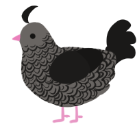 Pigeon3, a grey and sable chicken with a double-lace pattern