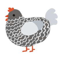 Slider, a grey and mist chicken with a lace pattern