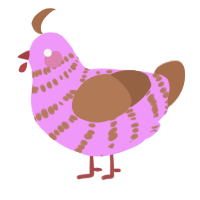 (unnamed), a lavender and brown chicken with a bar pattern