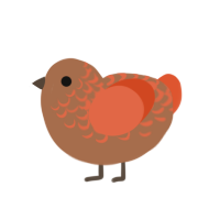 (unnamed), a brown and vermilion chicken with a half-lace pattern