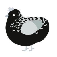 (unnamed), a black and silver chicken with a half-lace pattern