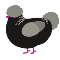 Disco Chicken, a sable and ash chicken with a neck-band pattern