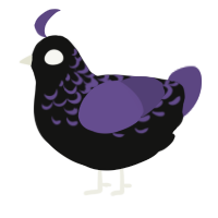 Raven, a black and overcast chicken with a half-lace pattern