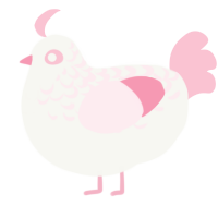 Sugar, a white and rose chicken with a half-lace pattern